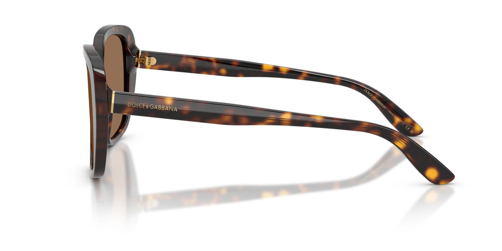 Dolce & Gabbana DG4569 502/73 54