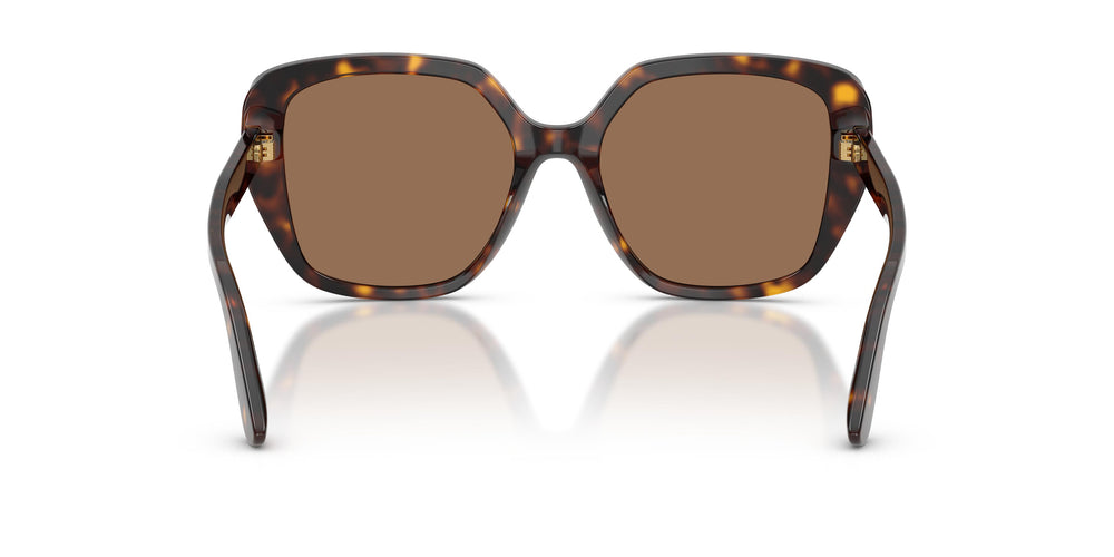 Dolce & Gabbana DG4569 502/73 54