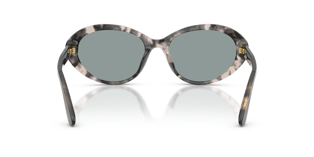 Dolce & Gabbana DG4570 3172/1 53