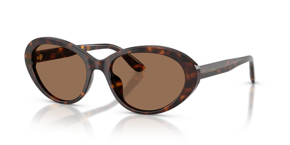 Dolce & Gabbana DG4570 502/73 53