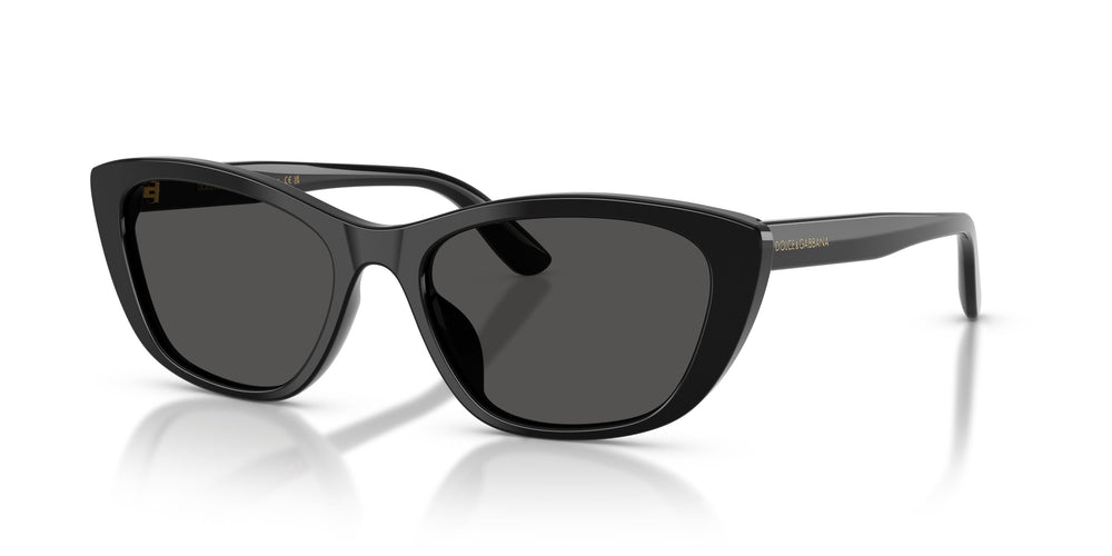 Dolce & Gabbana DG4571 501/87 56