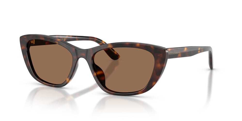 Dolce & Gabbana DG4571 502/73 56