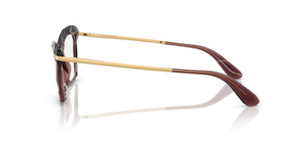 Dolce & Gabbana DG5025 3045 53