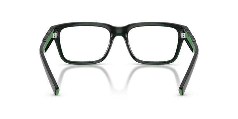 Dolce & Gabbana DG5112 3008 55