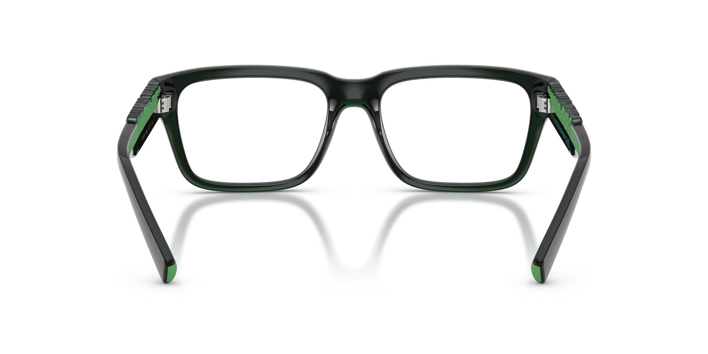 Dolce & Gabbana DG5112 3008 53