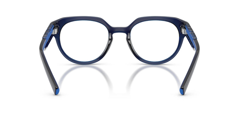 Dolce & Gabbana DG5113 3009 51