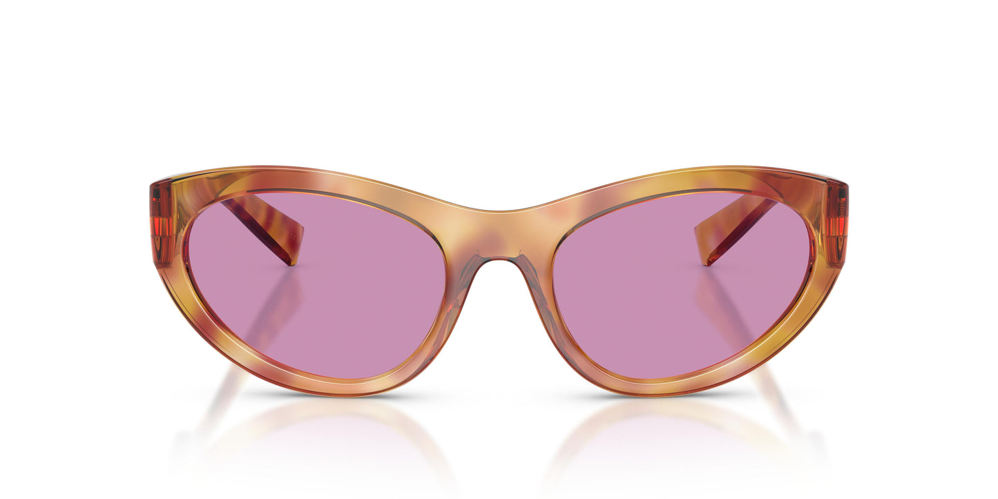 Dolce & Gabbana DG6207 34771A 54