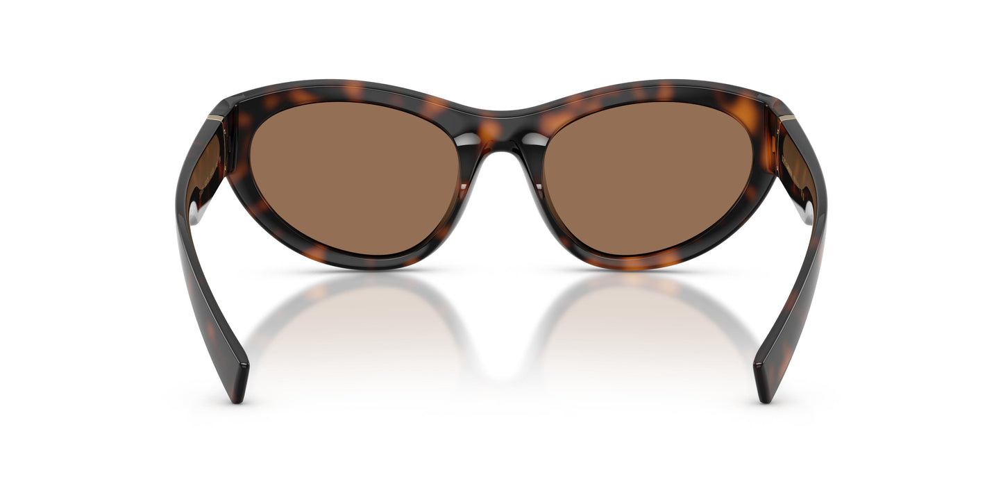 Dolce & Gabbana DG6207 502/73 54