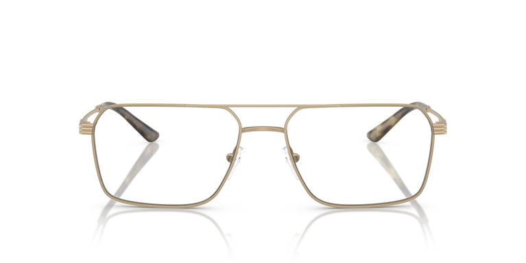 Emporio Armani EA1166  3002 57