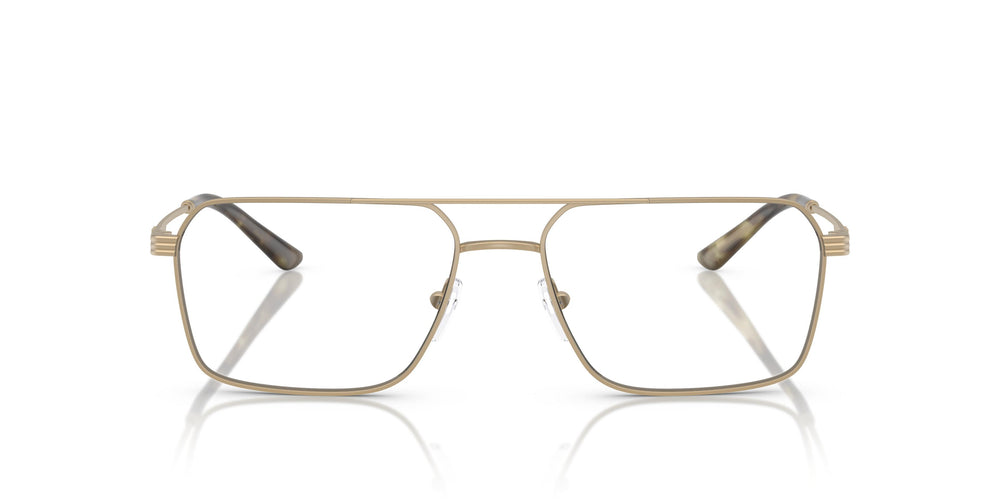 Emporio Armani EA1166  3002 55