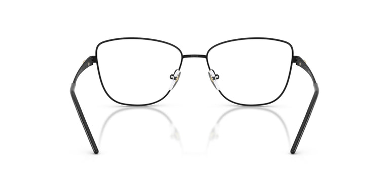 Emporio Armani EA1172  3001 53