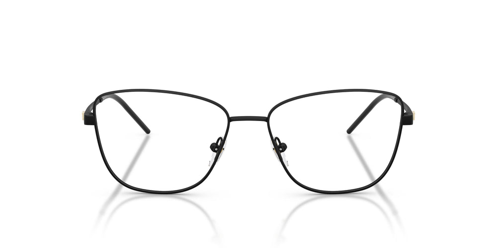 Emporio Armani EA1172  3001 55