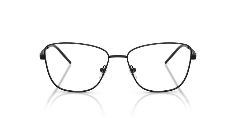 Emporio Armani EA1172  3001 53