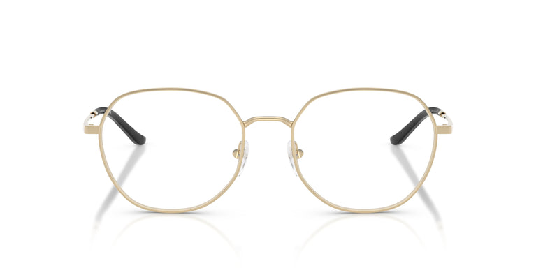 Emporio Armani EA1174D  3013 54
