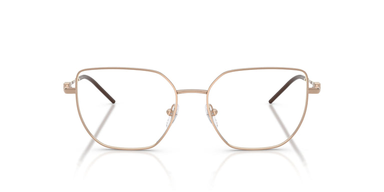 Emporio Armani EA1176 3011 51