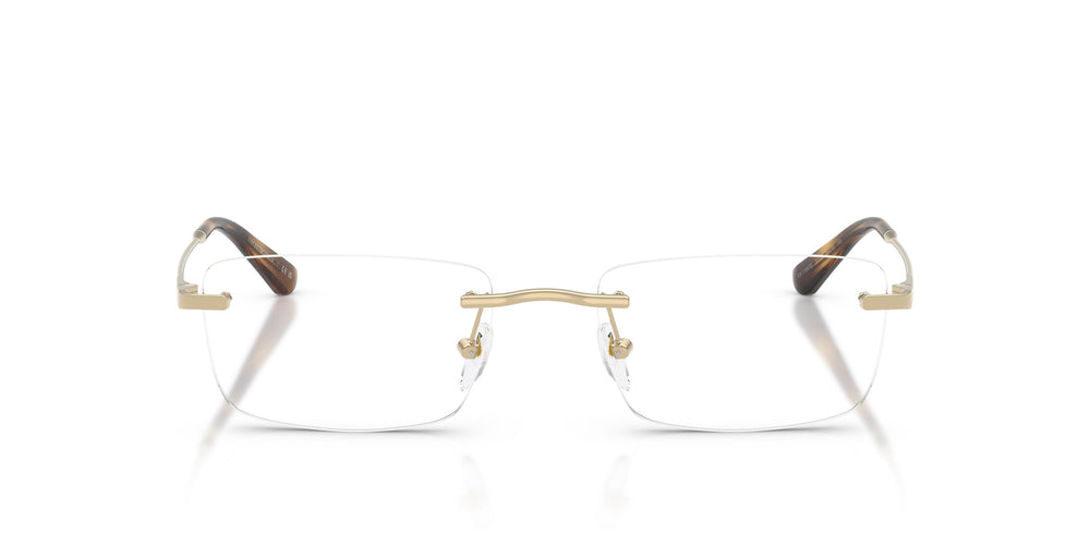 Emporio Armani EA1195TD 3013 54