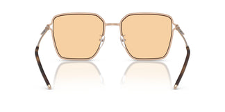 Emporio Armani EA2159D  3011/7 57