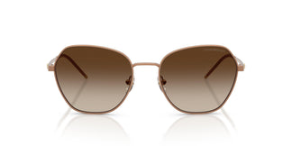 Emporio Armani EA2161  340013 55