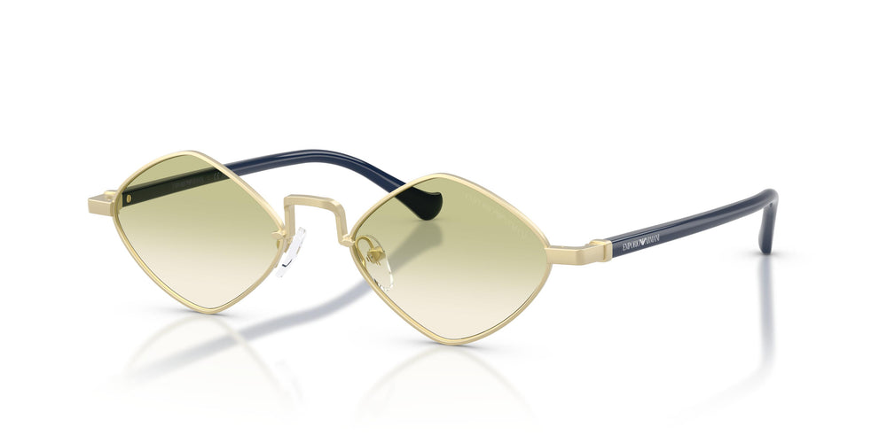 Emporio Armani EA2182 30028E 50