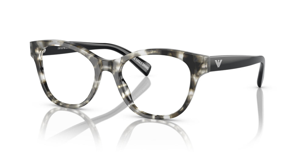 Emporio Armani EA3162 5766 52