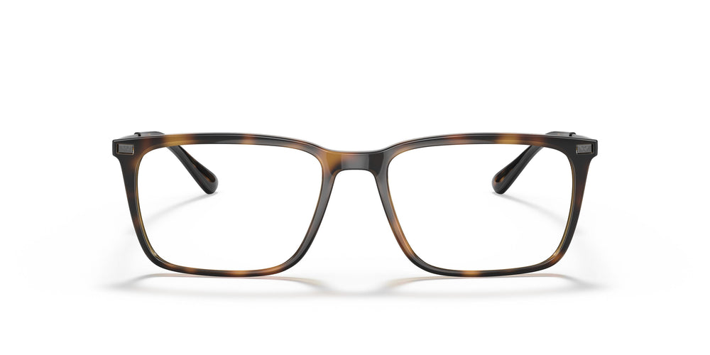 Emporio Armani EA3169  5026 53