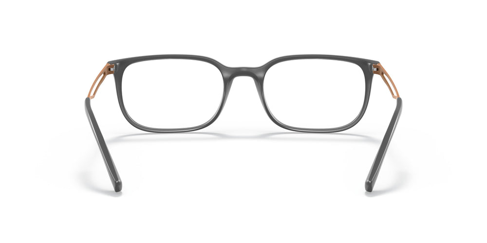 Emporio Armani EA3174  5437 52