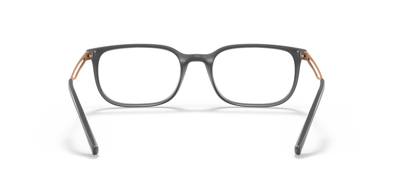 Emporio Armani EA3174  5437 52