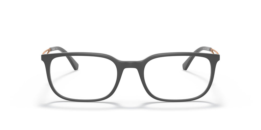 Emporio Armani EA3174  5437 52