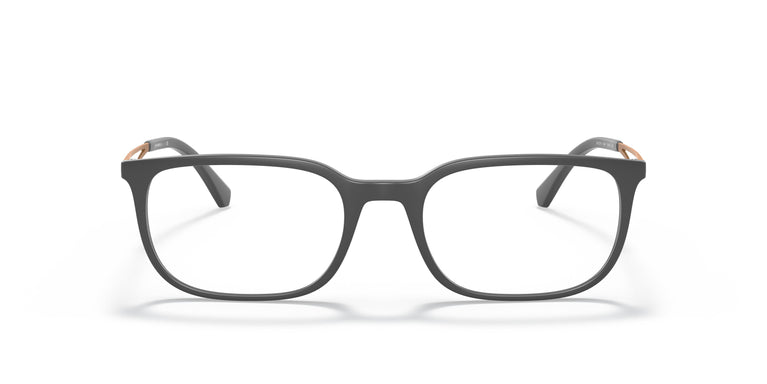 Emporio Armani EA3174  5437 52