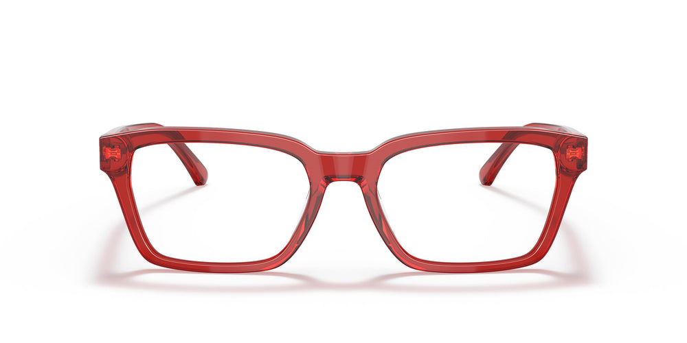 Emporio Armani EA3192  5075 53