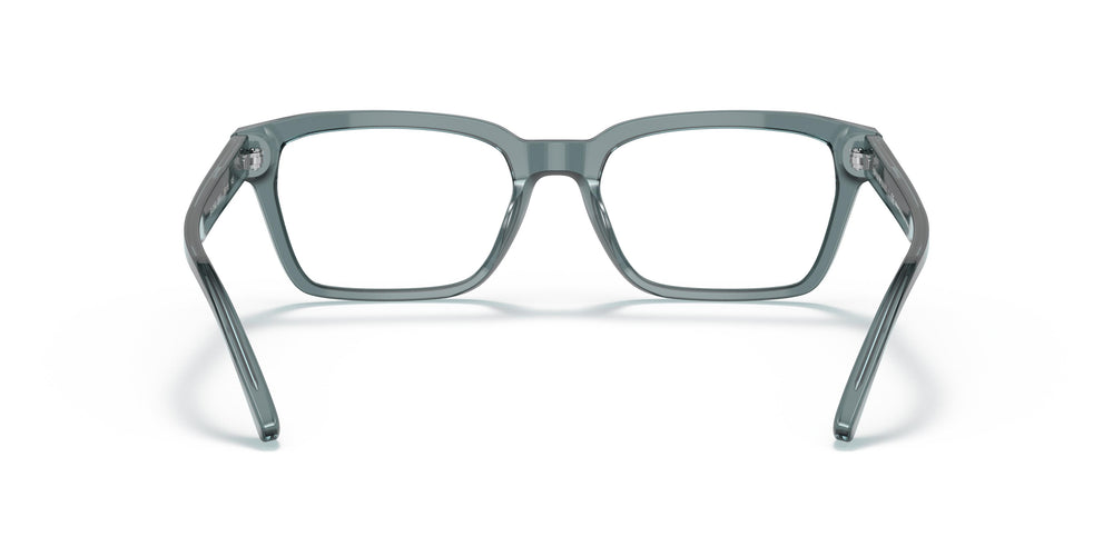 Emporio Armani EA3192  5911 55