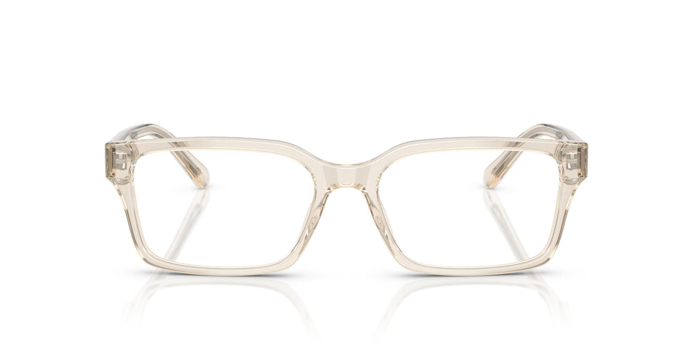 Emporio Armani EA3244  6179 53
