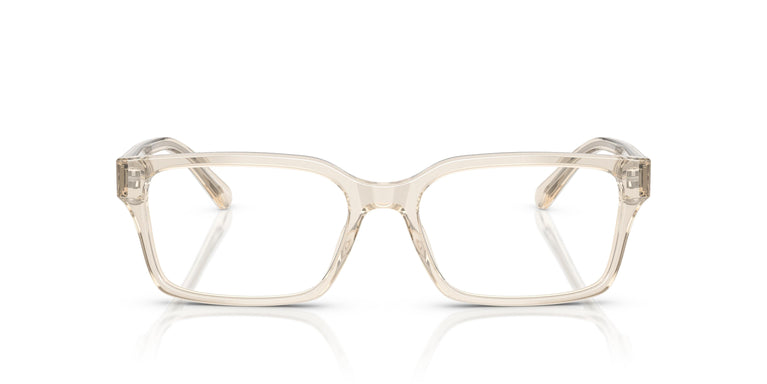 Emporio Armani EA3244  6179 55