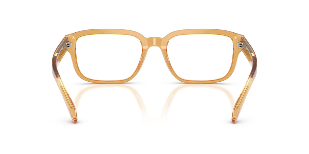 Emporio Armani EA3255  6246 55