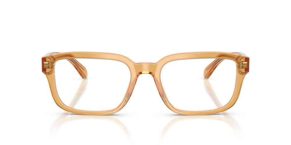 Emporio Armani EA3255  6246 55