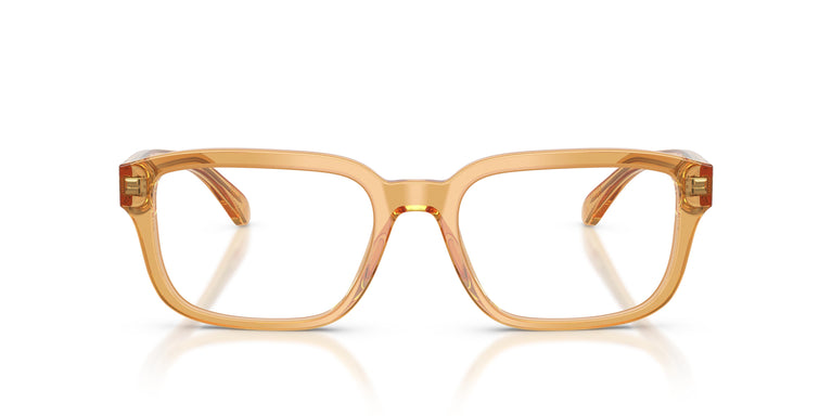 Emporio Armani EA3255  6246 55