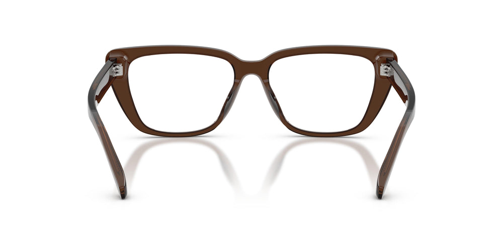 Emporio Armani EA3256U  6251 52