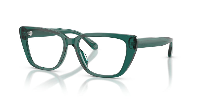 Emporio Armani EA3256U  6252 52
