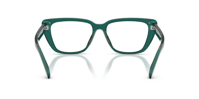 Emporio Armani EA3256U  6252 54