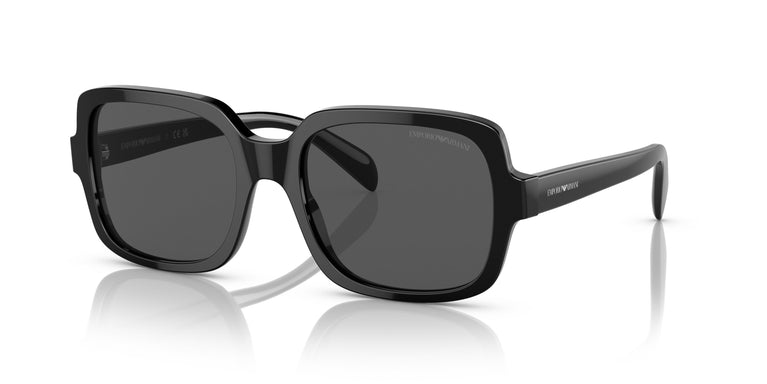 Emporio Armani EA4195 501787 55