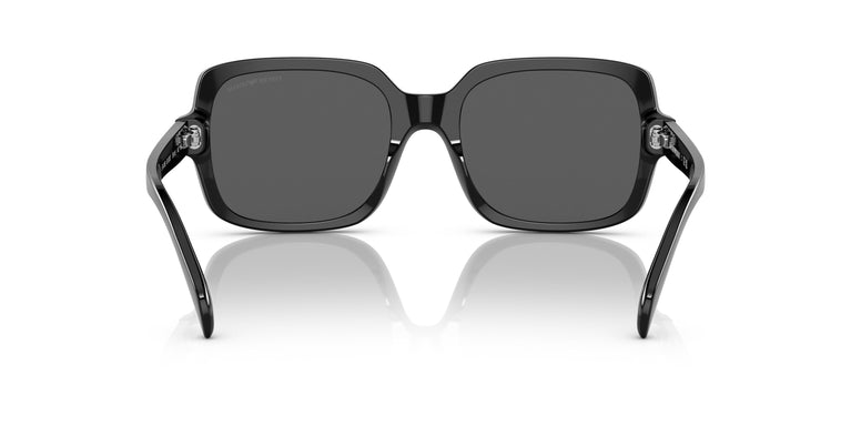 Emporio Armani EA4195 501787 55