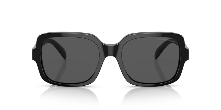 Emporio Armani EA4195 501787 55