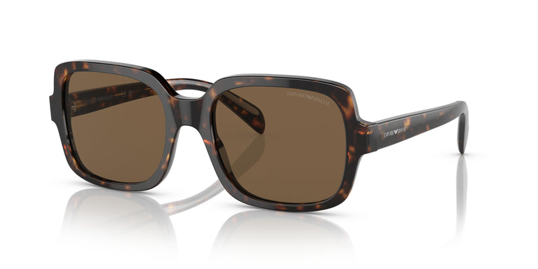 Emporio Armani EA4195 502673 55