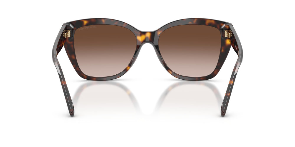 Emporio Armani EA4198 502613 55