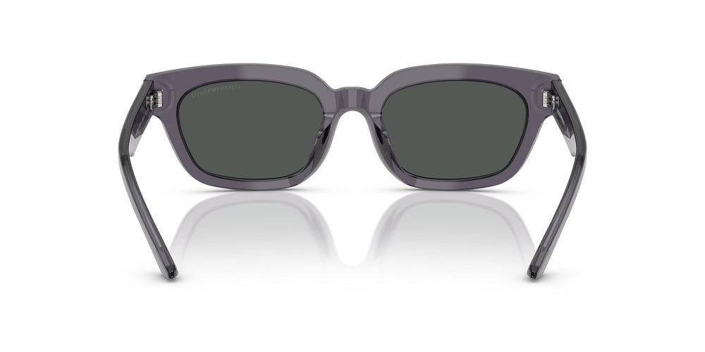 Emporio Armani EA4233U  610687 53