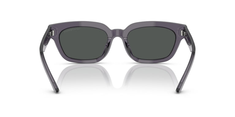 Emporio Armani EA4233U  610687 53