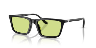 Emporio Armani EA4239U  5017/2 55
