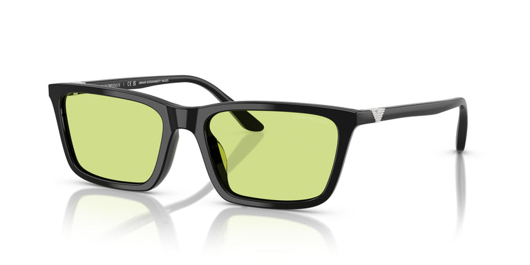 Emporio Armani EA4239U  5017/2 55