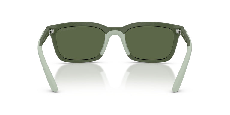 Emporio Armani EA4249U  625971 55