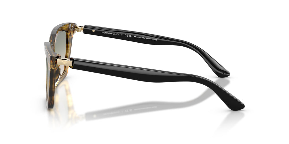 Emporio Armani EA4250U  62672C 54